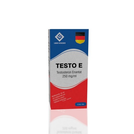 Testo E 250 mg Labor Schneider